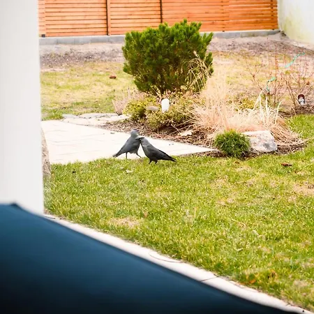 Dom Jednorodzinny * ウェバ