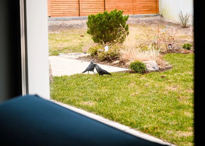 Dom Jednorodzinny * Łeba