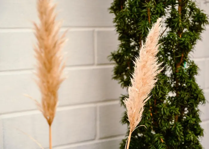 Dom Jednorodzinny Villa *